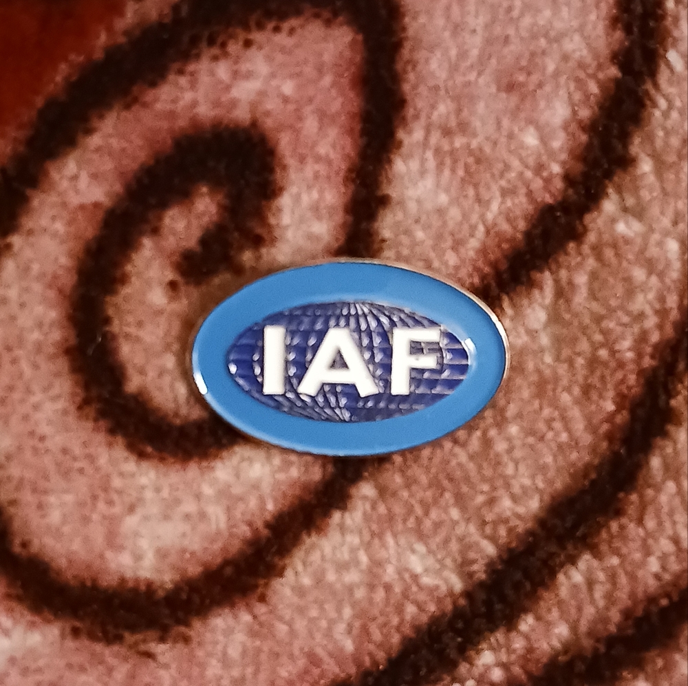 Vintage IAF Lapel pin-$5 add on